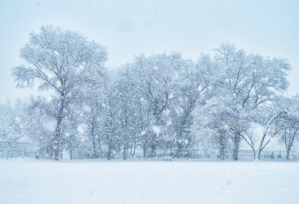 Snowy winter day in Taos